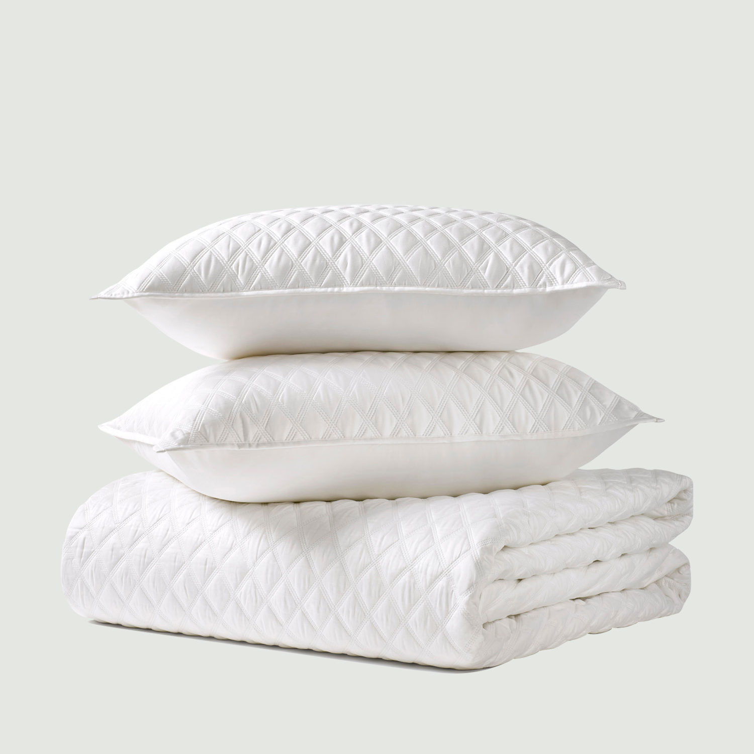 Silk Pure Goose Down Pillow