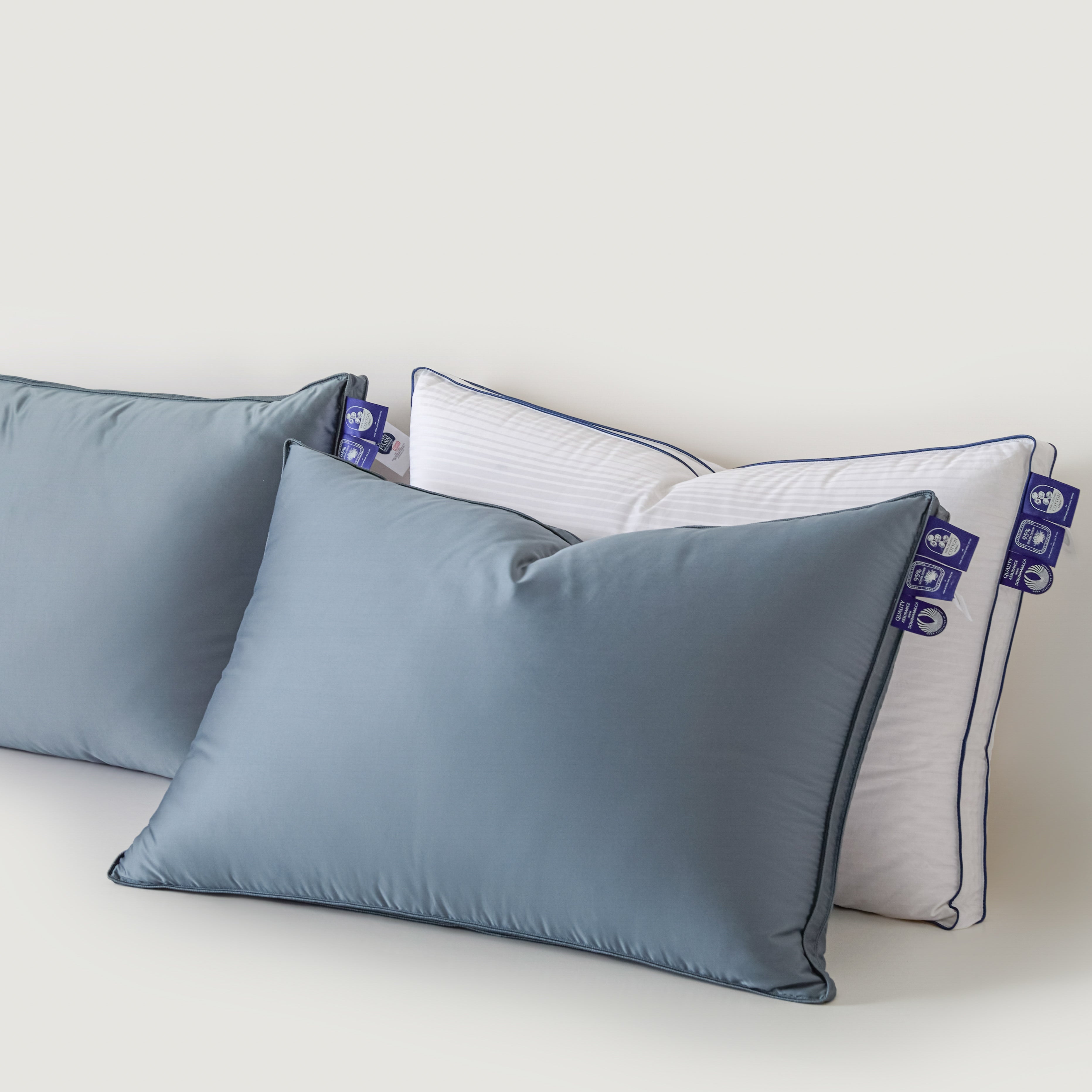 Silk Pure Goose Down Pillow
