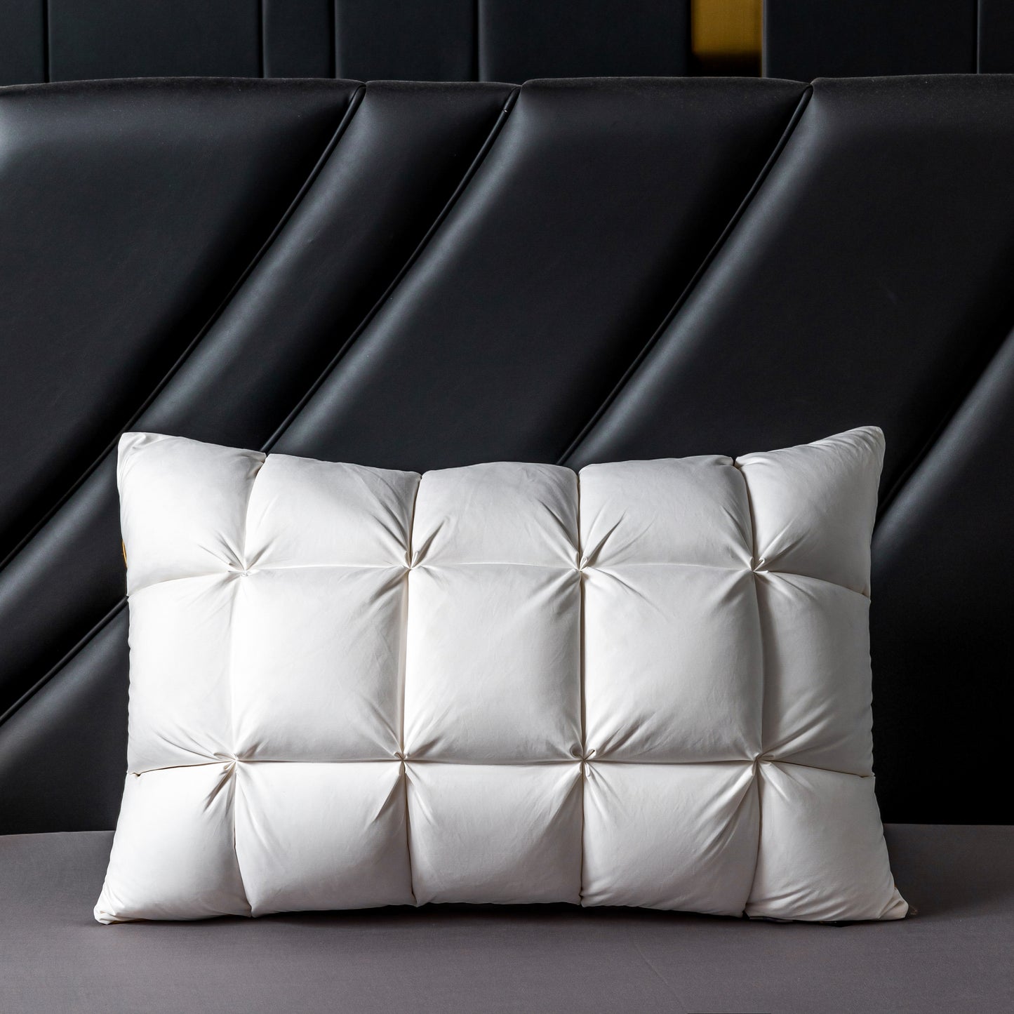 DIY Goose Down Pillow