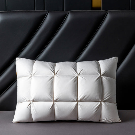 DIY Goose Down Pillow