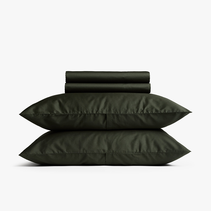 Luxe Stars Stripes Goose Down Pillows