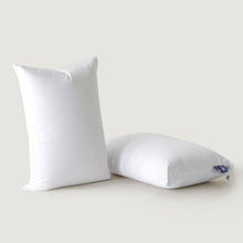 Queen / White