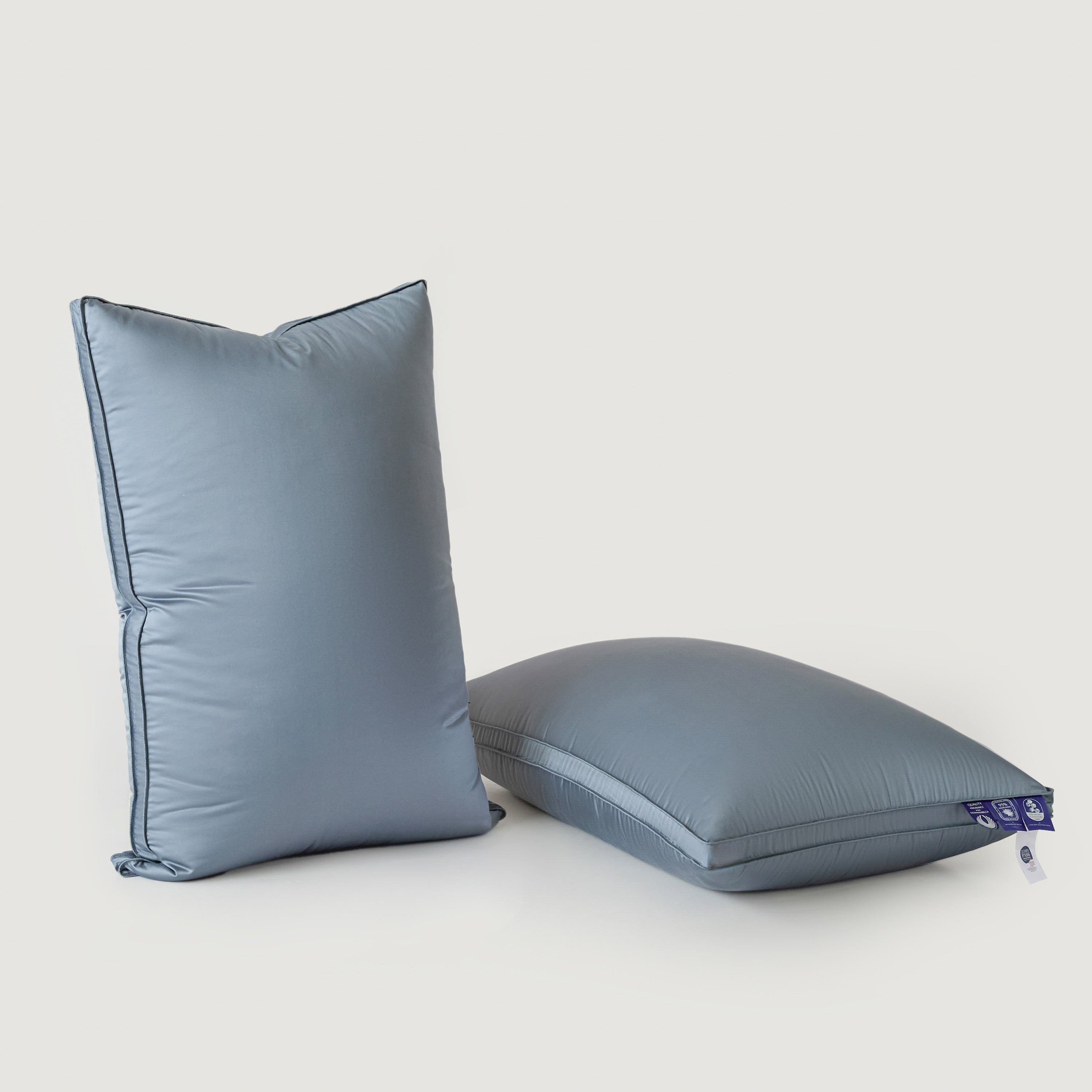 Silk Pure Goose Down Pillow