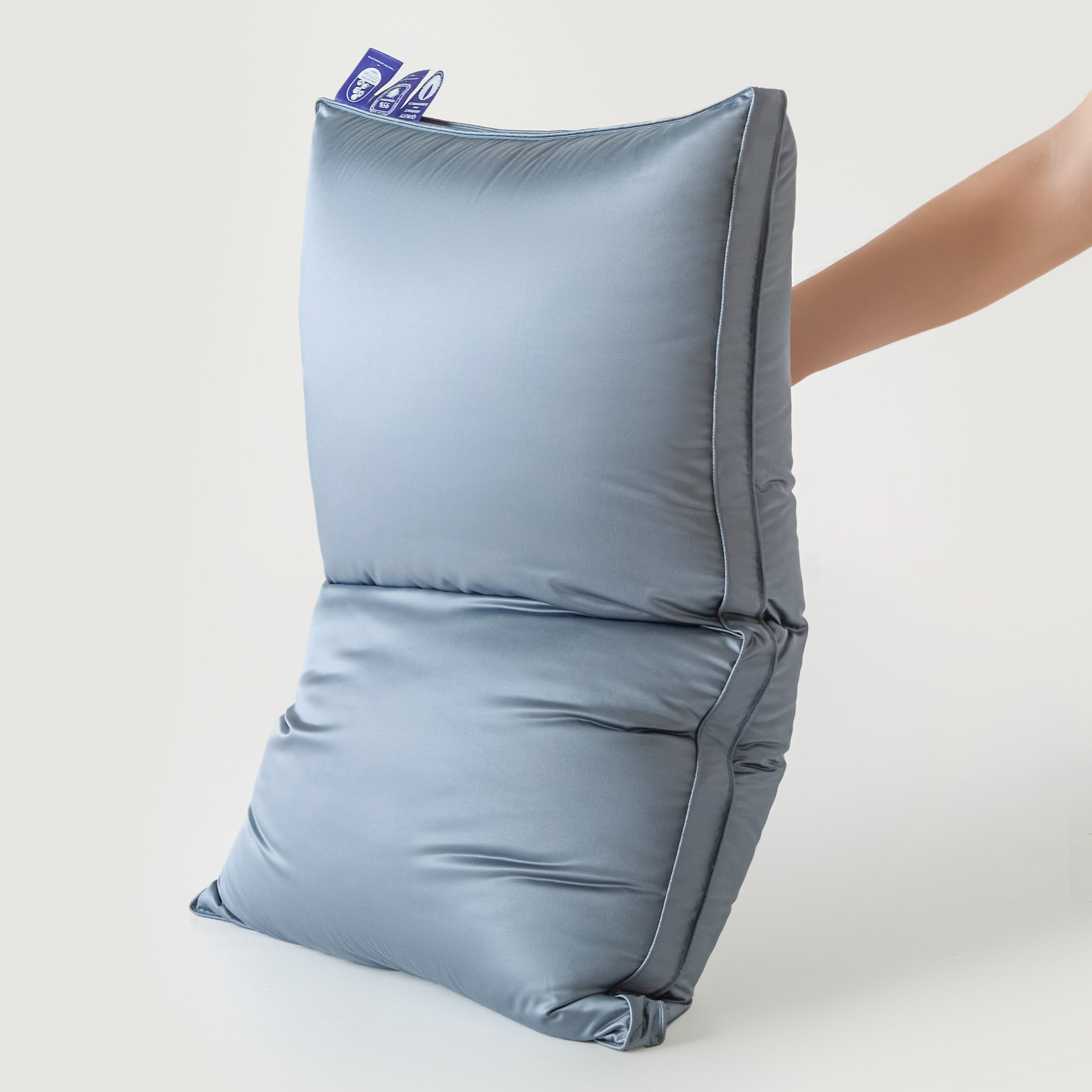Silk Pure Goose Down Pillow