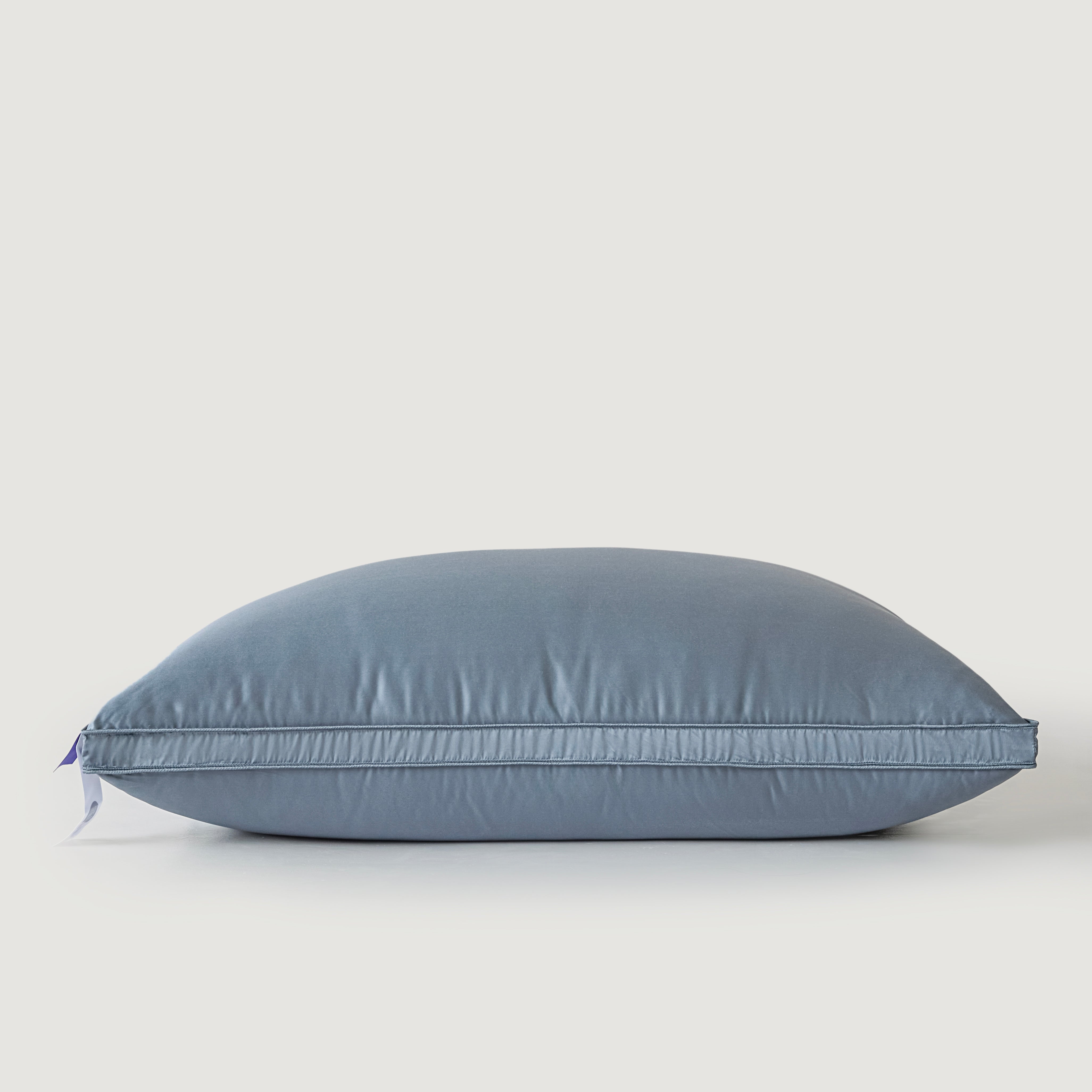 Silk Pure Goose Down Pillow