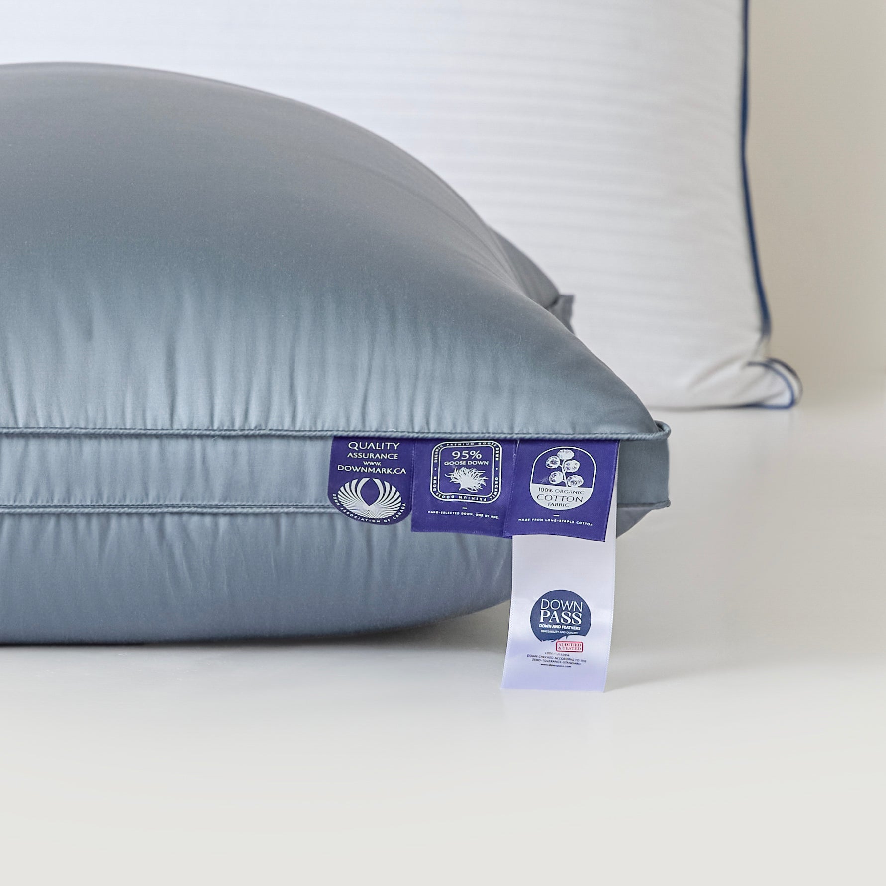 Silk Pure Goose Down Pillow